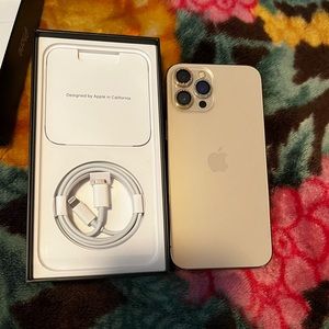 Apple iPhone 12 Pro Max